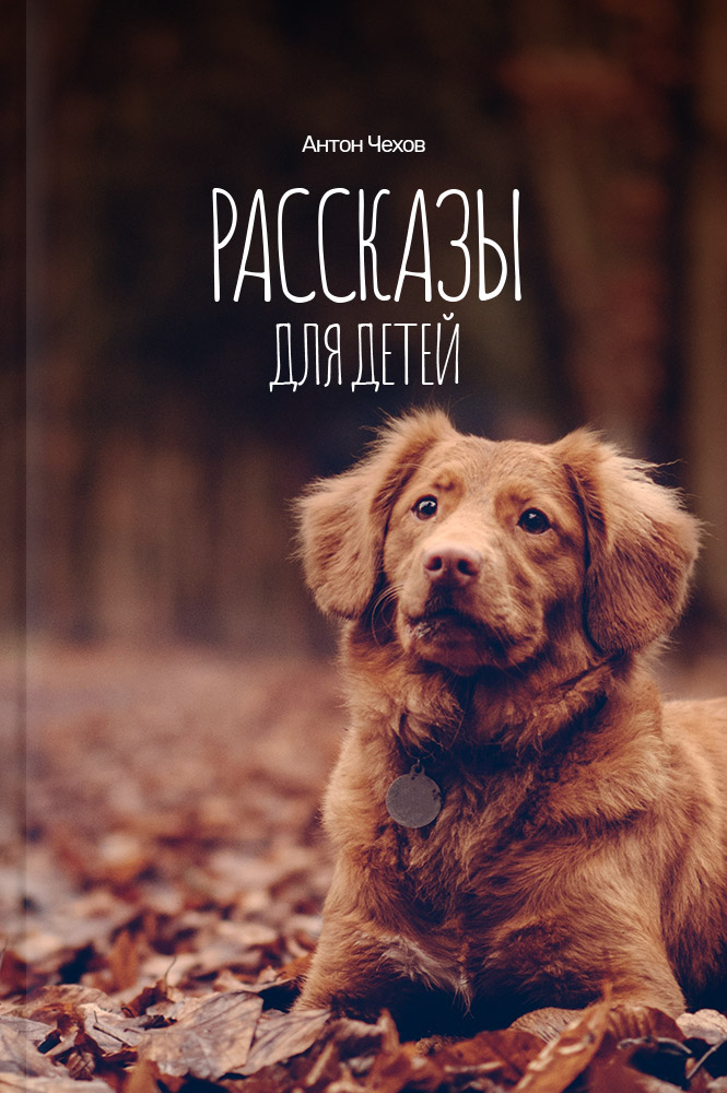 Рассказы для детей