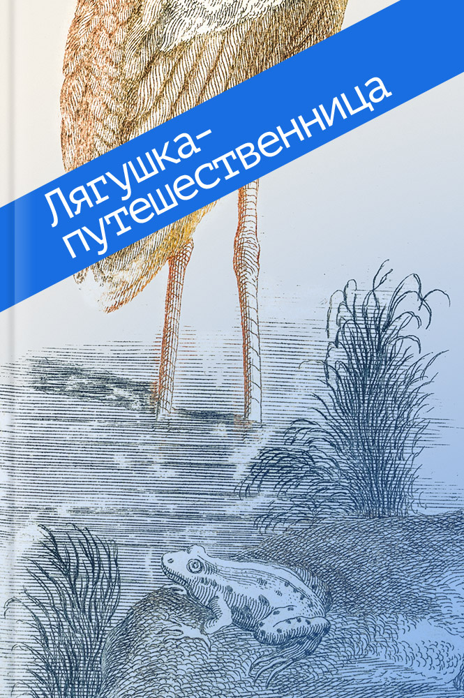 Летнее чтение перед 2 классом book 2