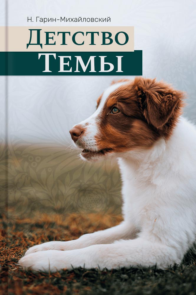 Летнее чтение перед 5 классом book 1